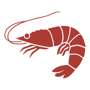 noun Shrimp 469917 AC3B33 @1200 noun Shrimp 469917 AC3B33 @1200